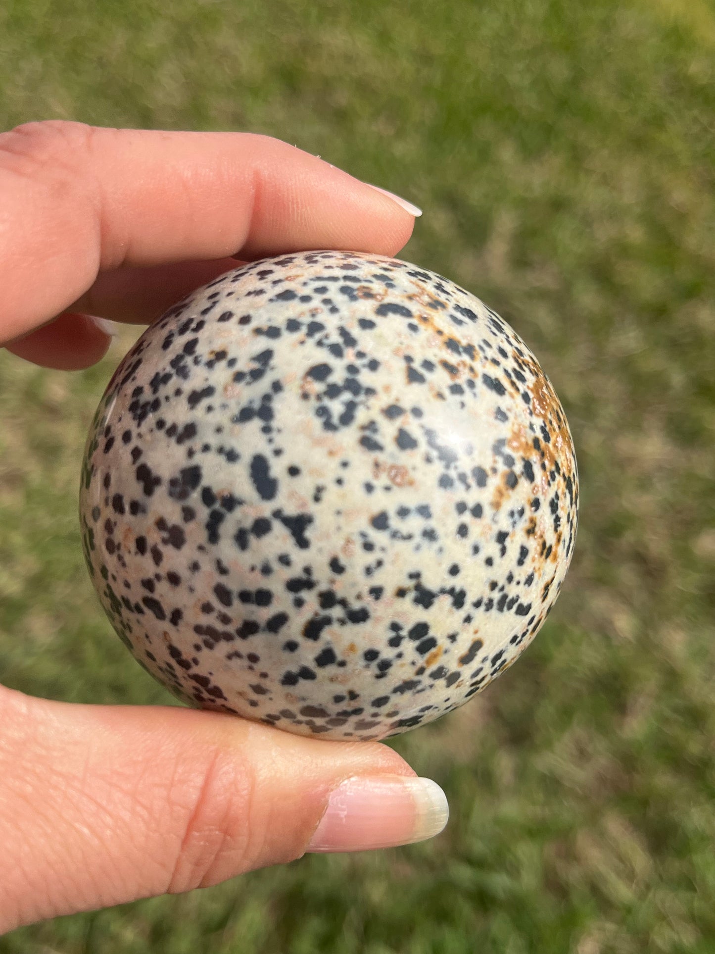 Dalmatian Jasper Sphere #2