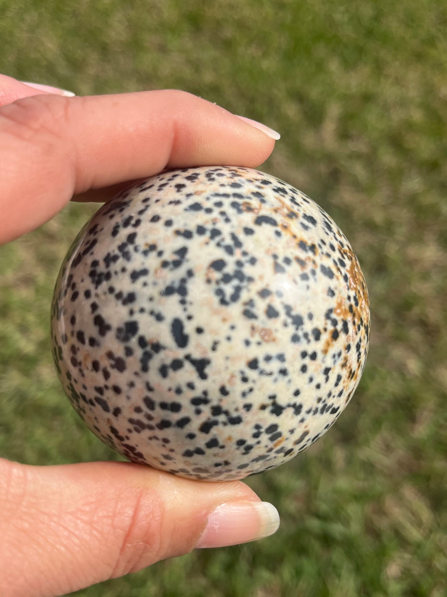 Dalmatian Jasper Sphere #2