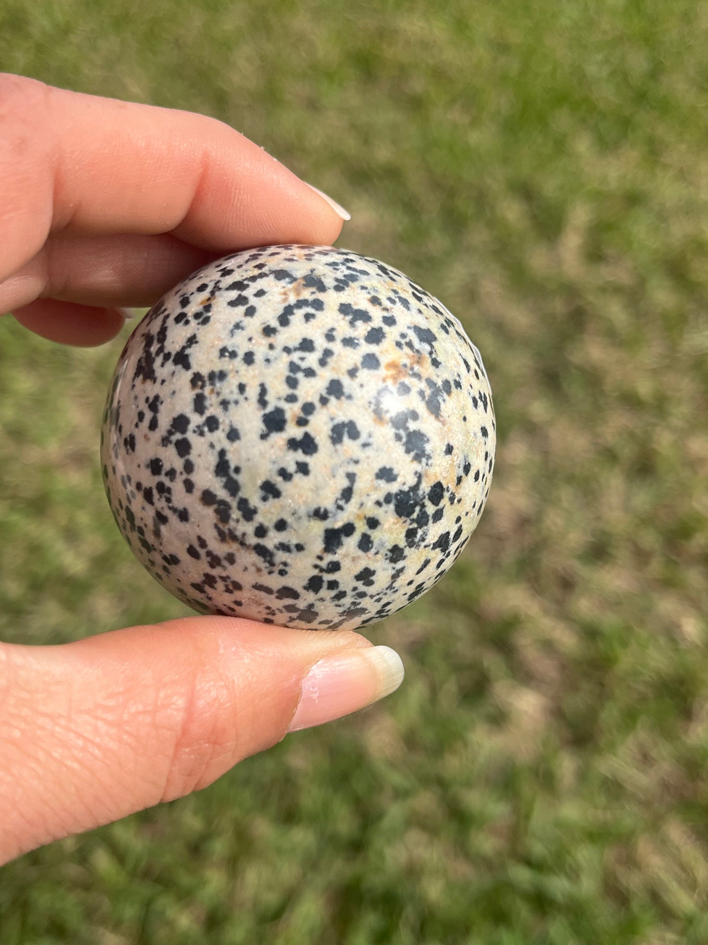 Dalmatian Jasper Sphere #1