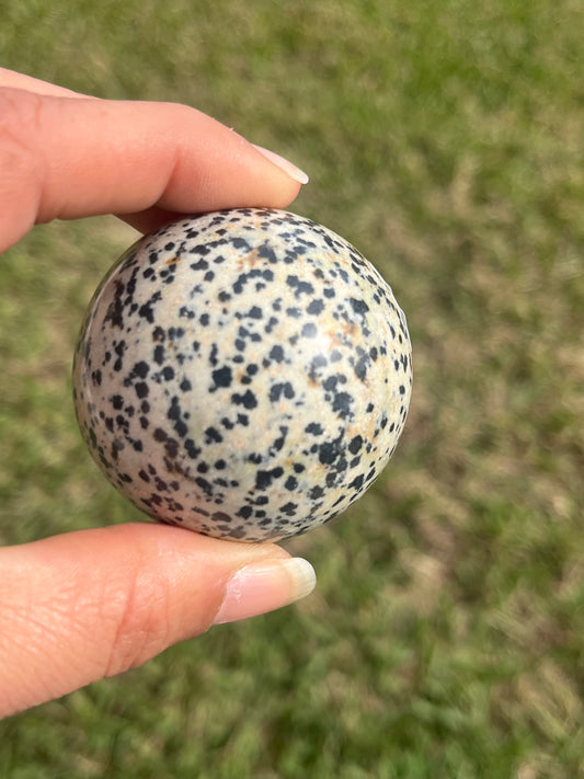 Dalmatian Jasper Sphere #1