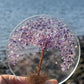 Orgone Amethyst Tree of Life Coaster