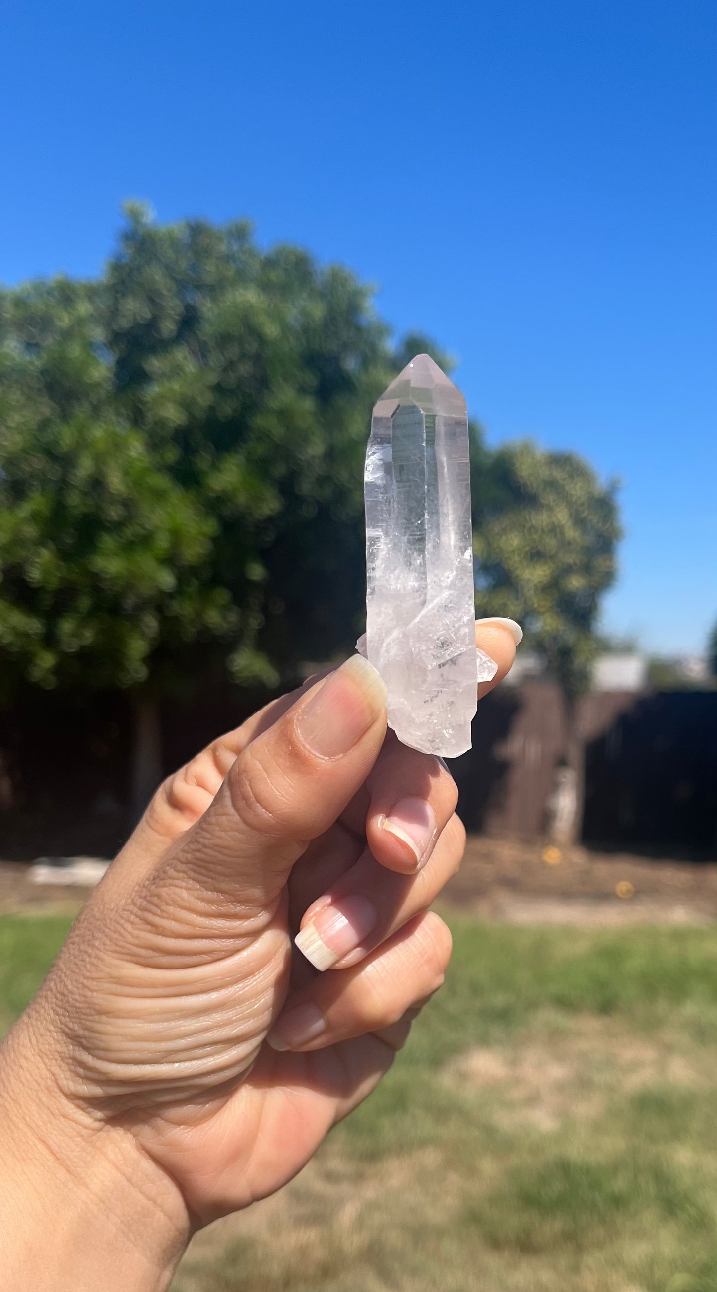 Lemurian Seed Crystal Points