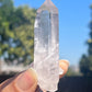 Lemurian Seed Crystal Points