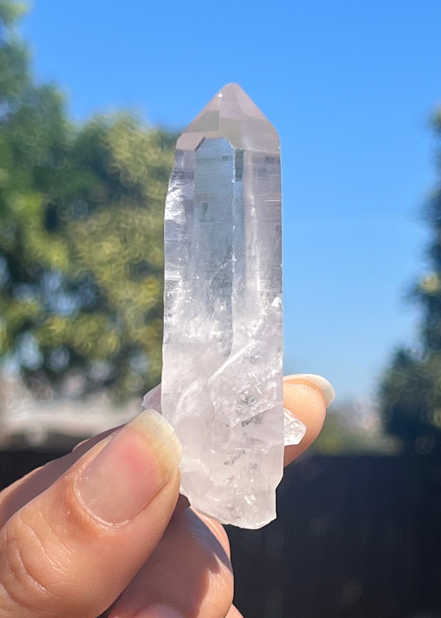 Lemurian Seed Crystal Points