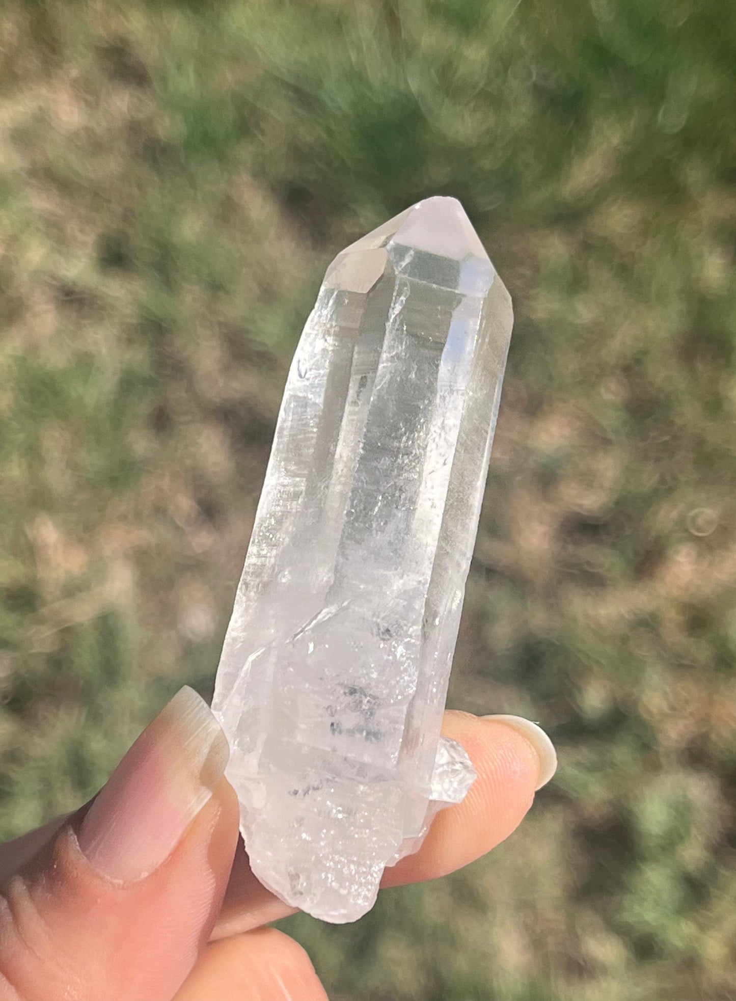 Lemurian Seed Crystal Points