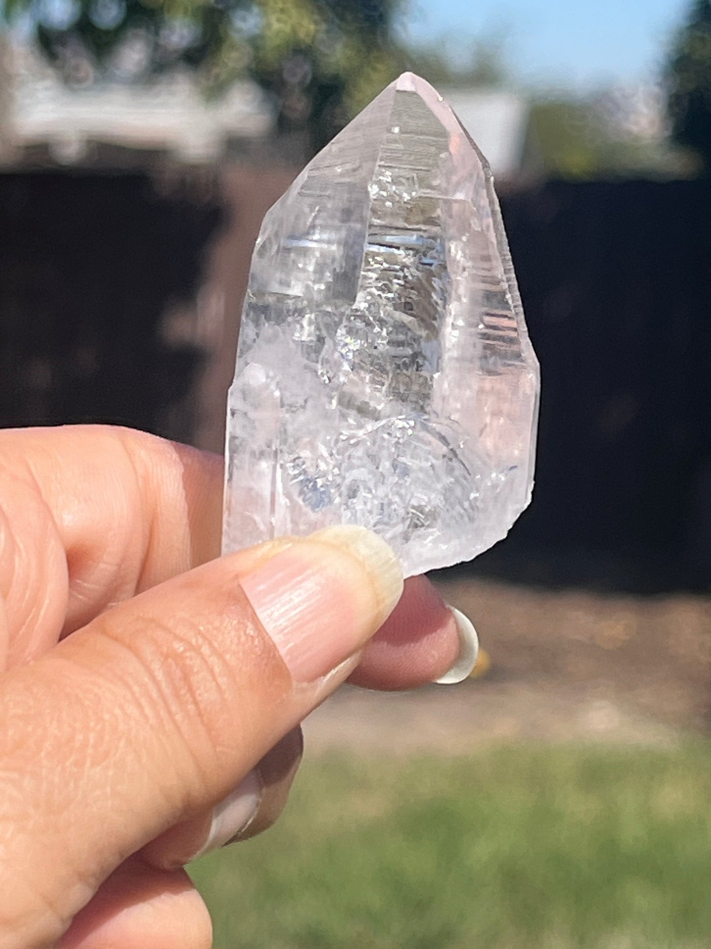 Lemurian Seed Crystal Points