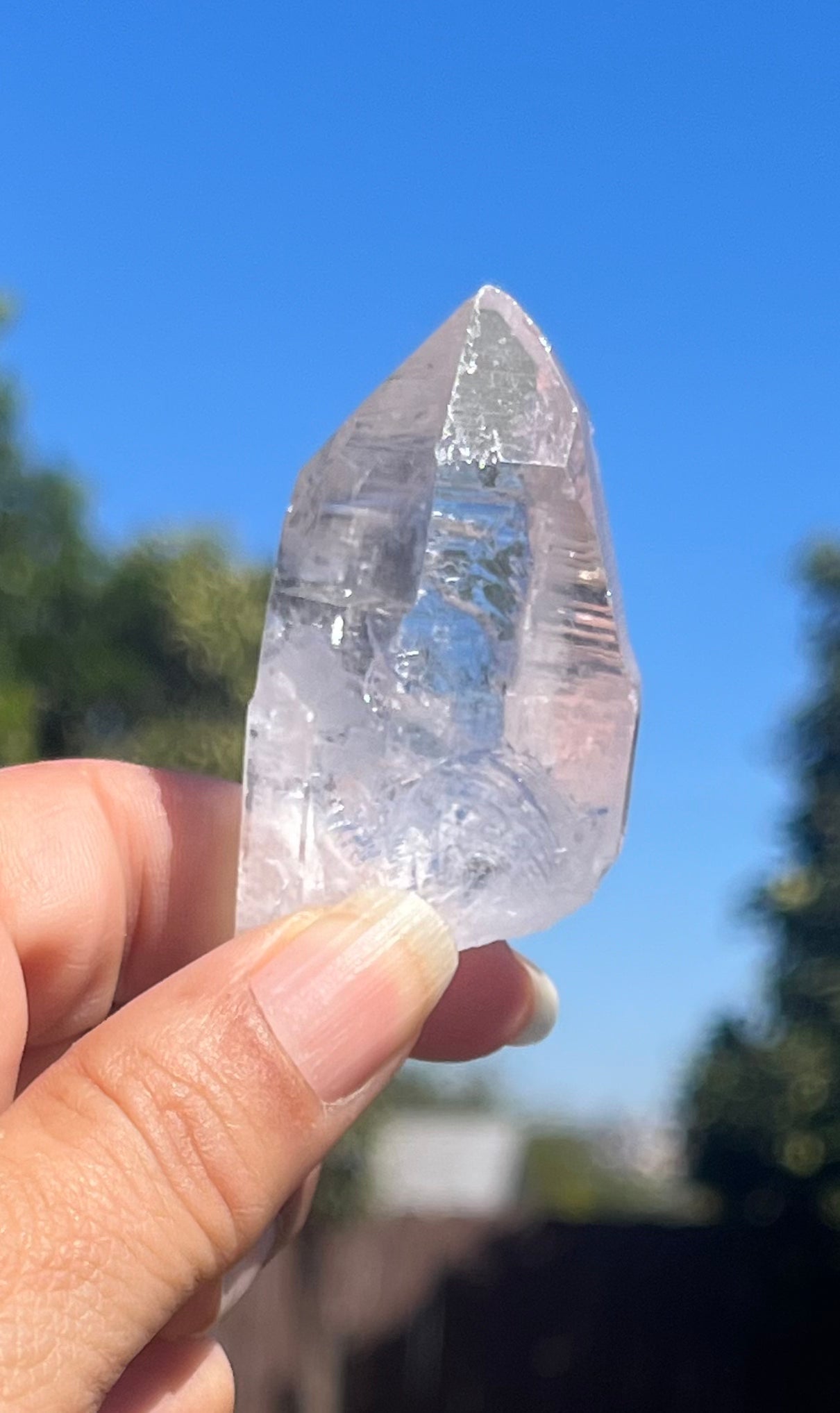 Lemurian Seed Crystal Points