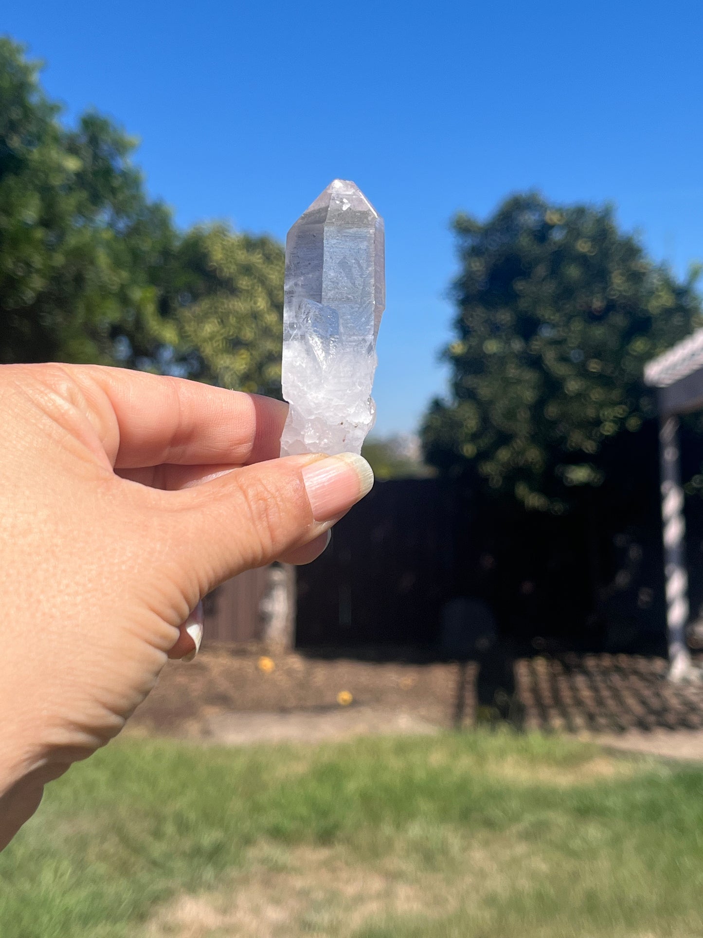 Lemurian Seed Crystal Points