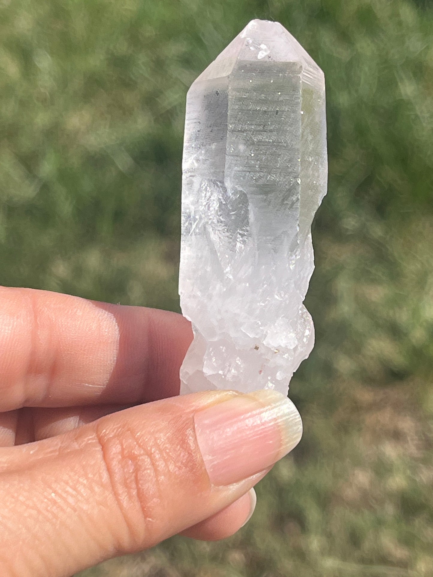 Lemurian Seed Crystal Points