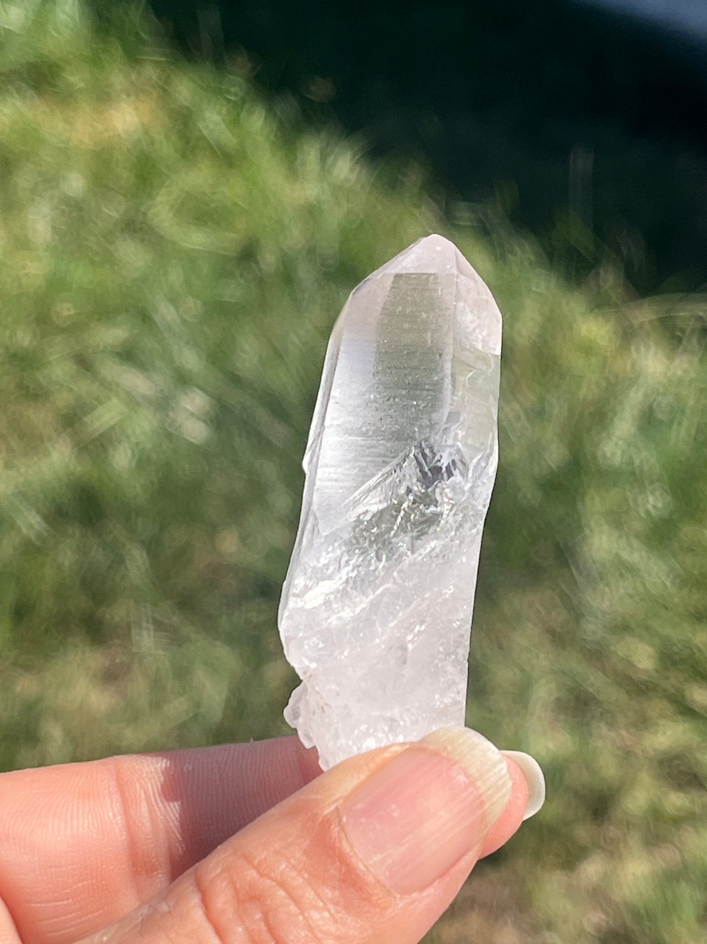 Lemurian Seed Crystal Points