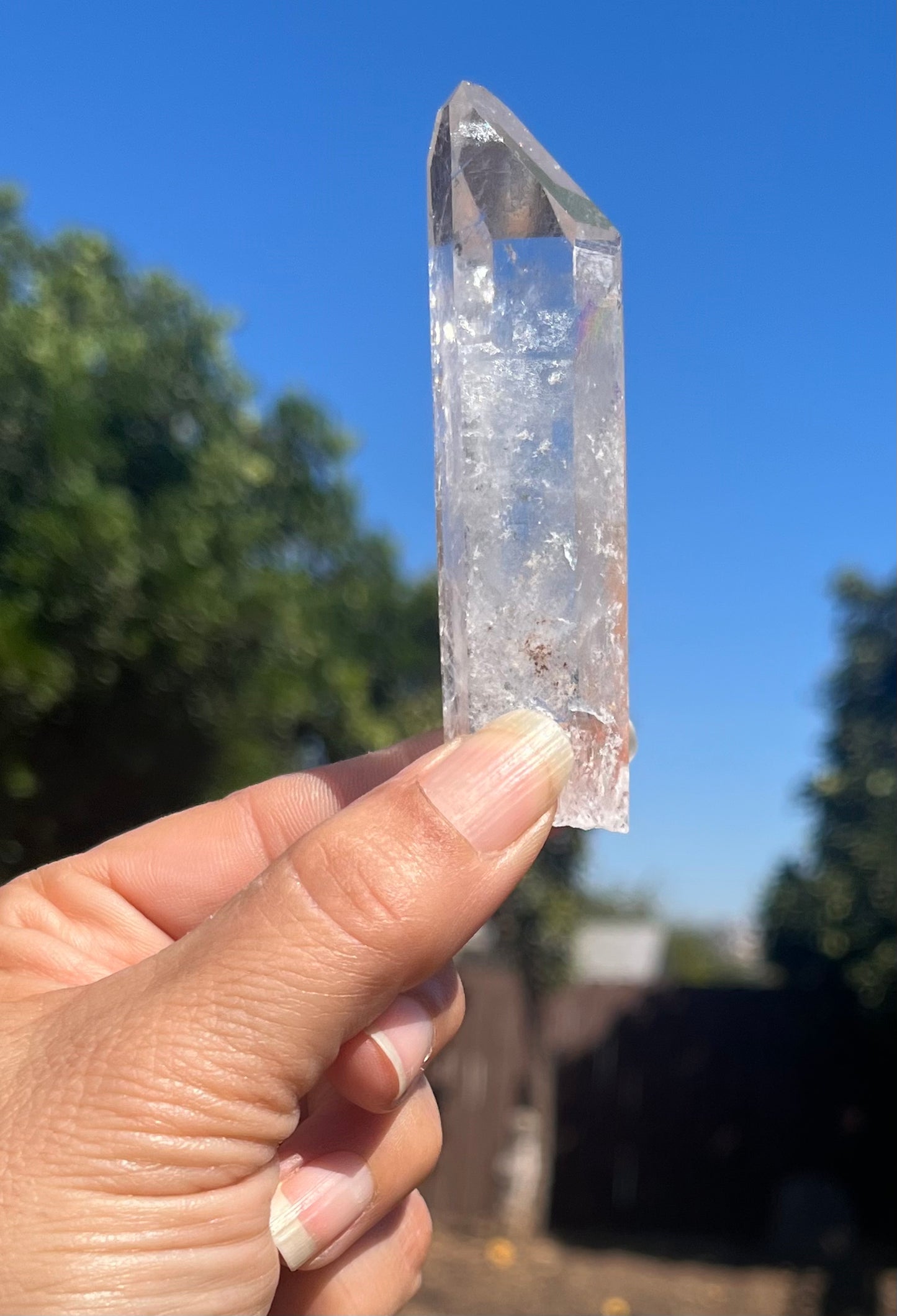 Lemurian Seed Crystal Points