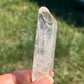 Lemurian Seed Crystal Points