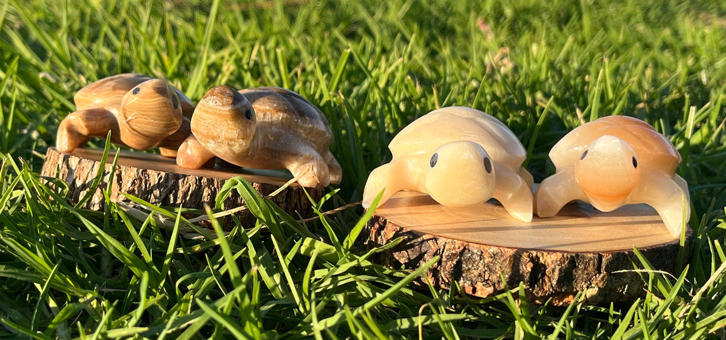 Enchanting Agate Turtles