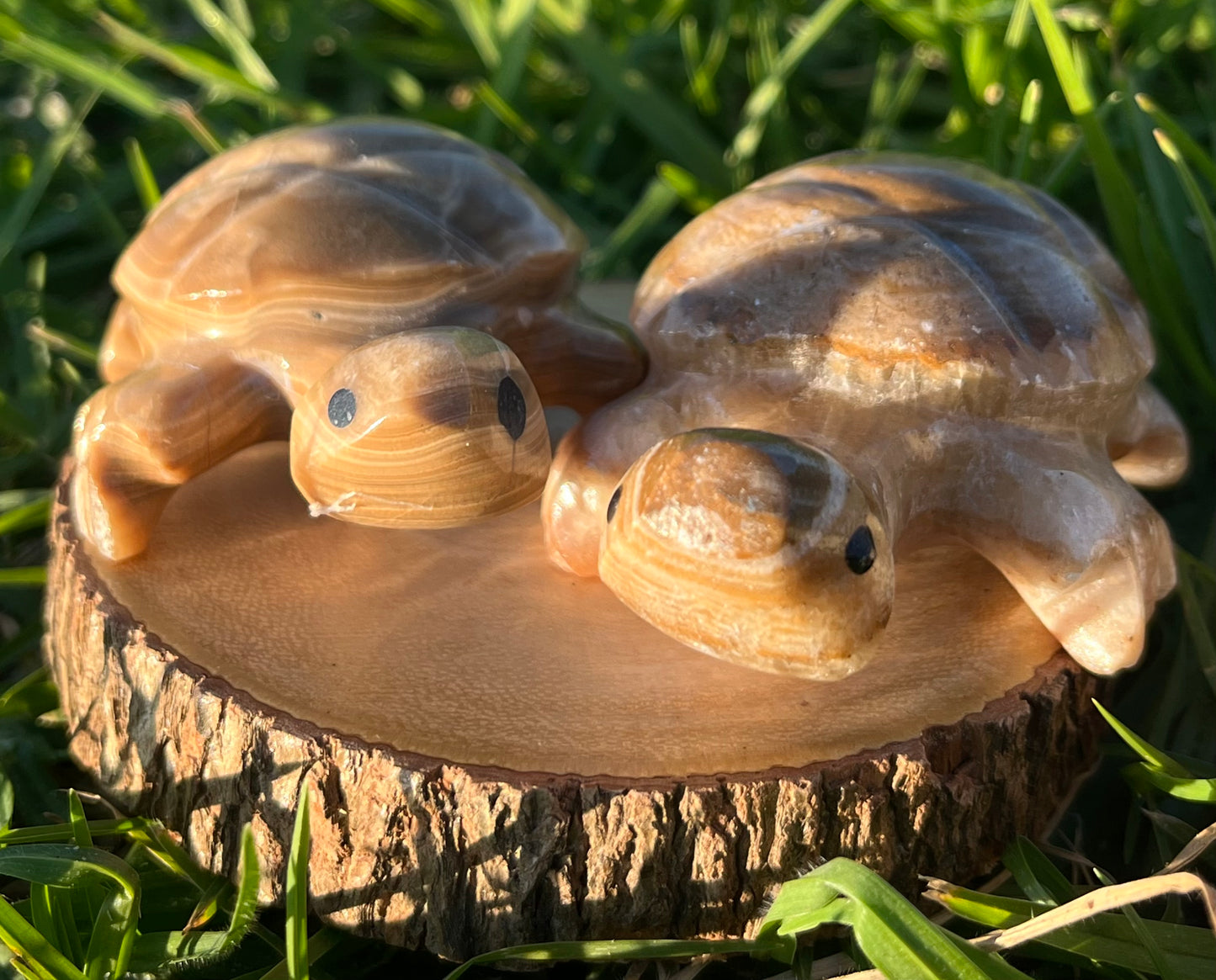 Enchanting Agate Turtles