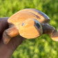 Enchanting Agate Turtles