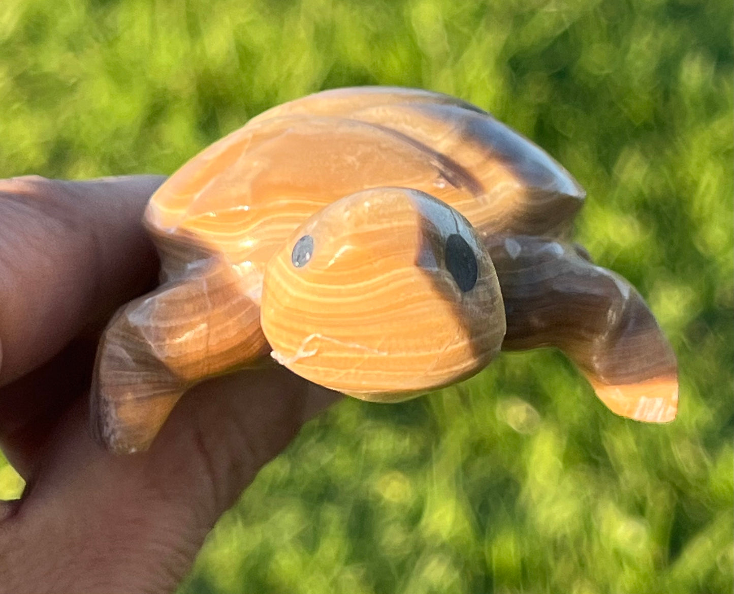 Enchanting Agate Turtles