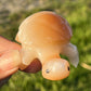 Enchanting Agate Turtles