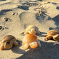 Enchanting Agate Turtles