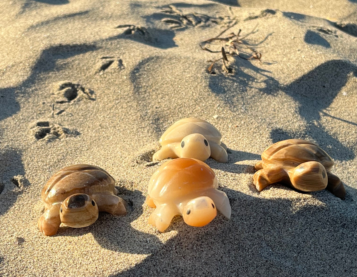 Enchanting Agate Turtles