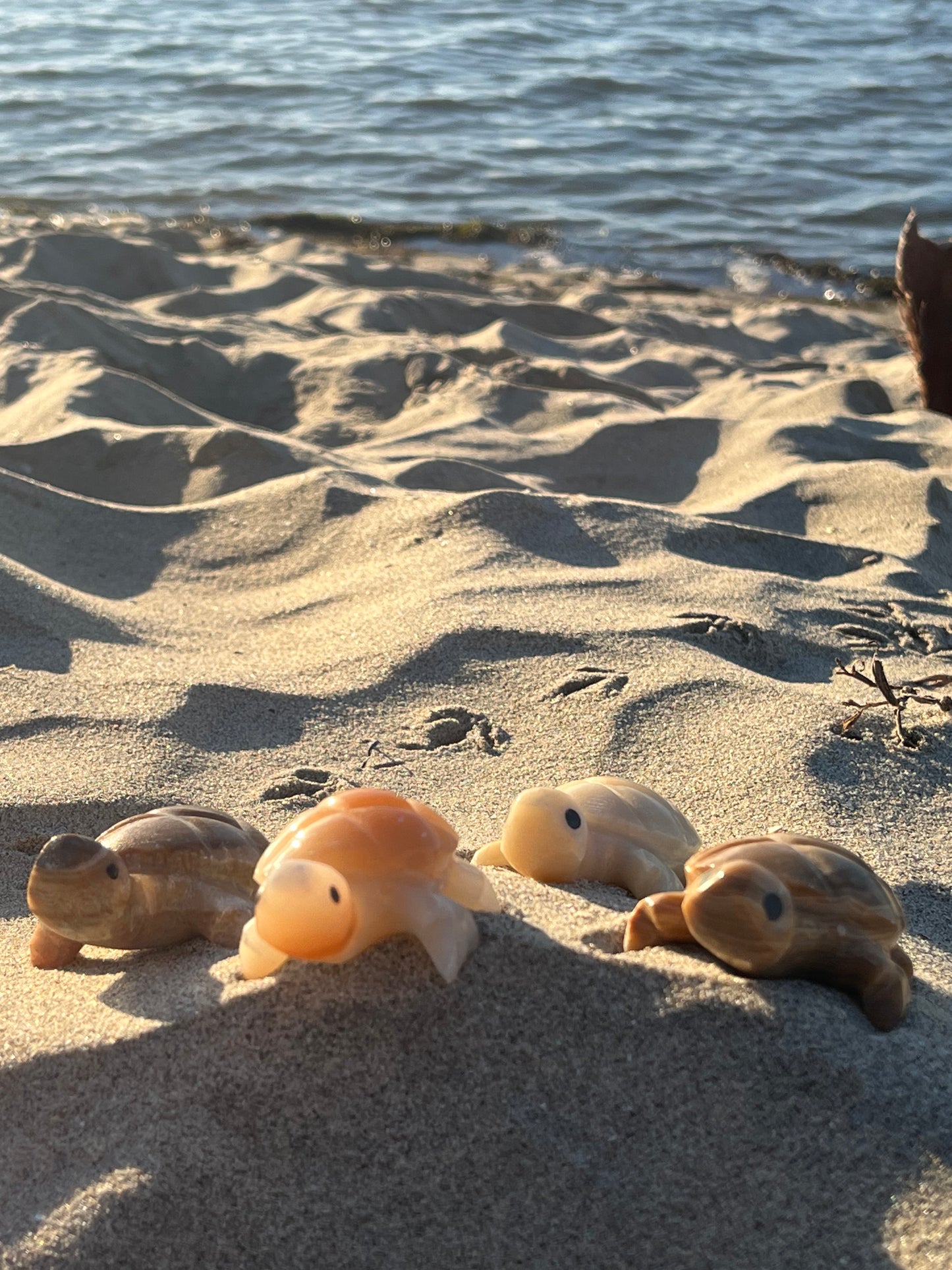 Enchanting Agate Turtles