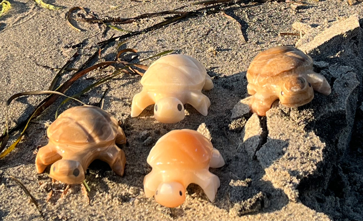 Enchanting Agate Turtles