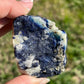 Blue Azurite with pyrite