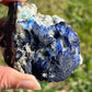 Blue Azurite with pyrite