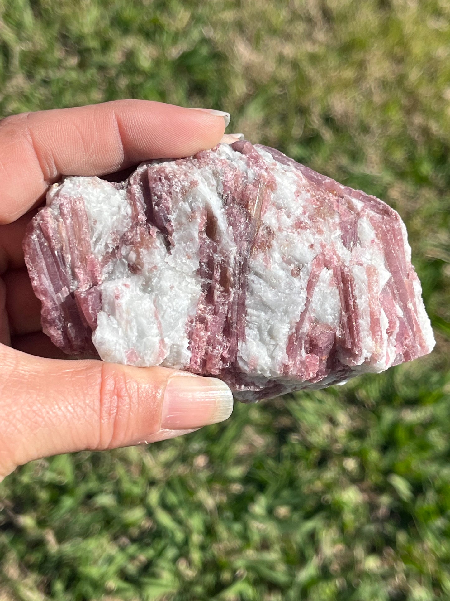 Pink Tourmaline Specimen