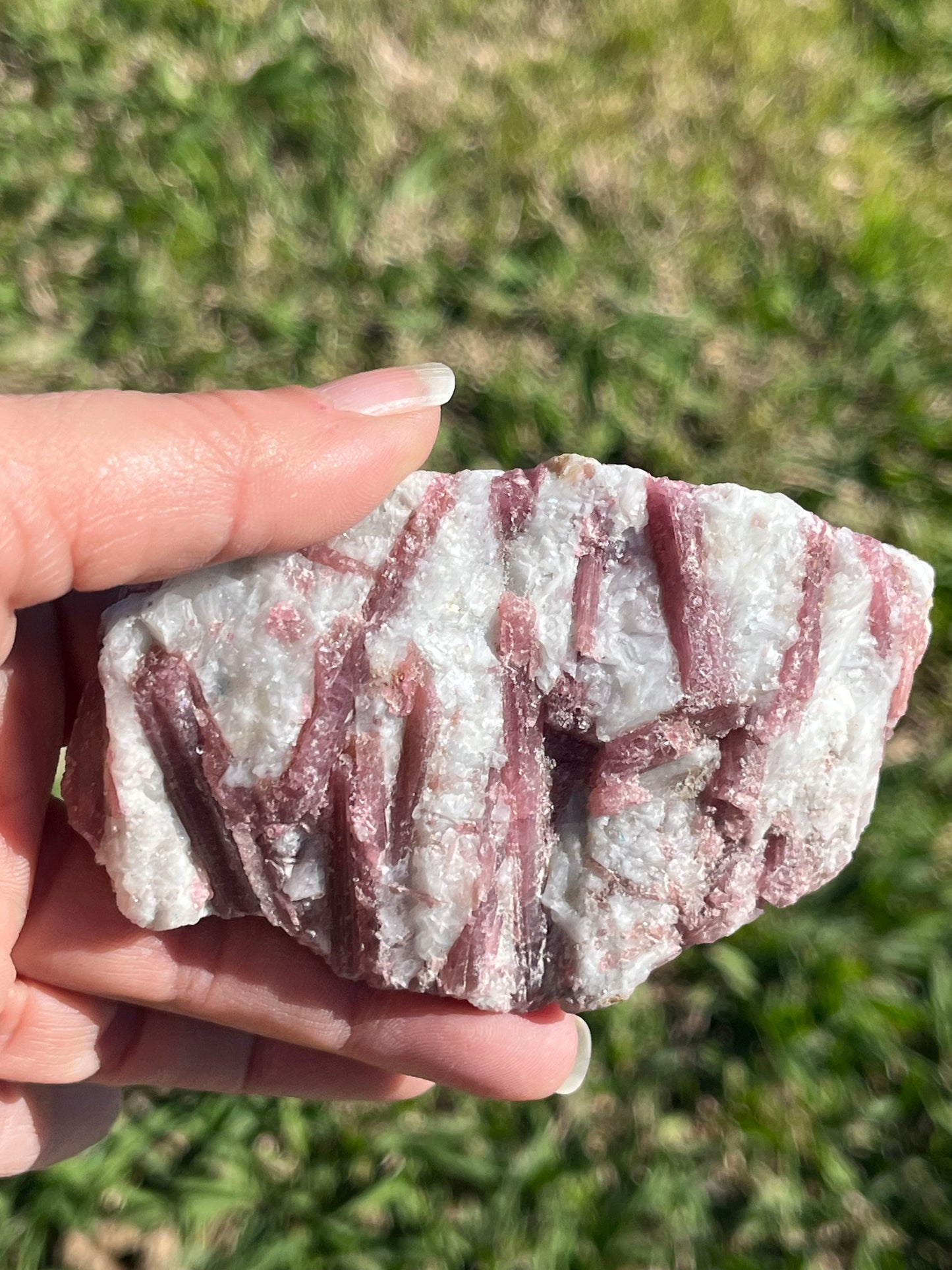 Pink Tourmaline Specimen