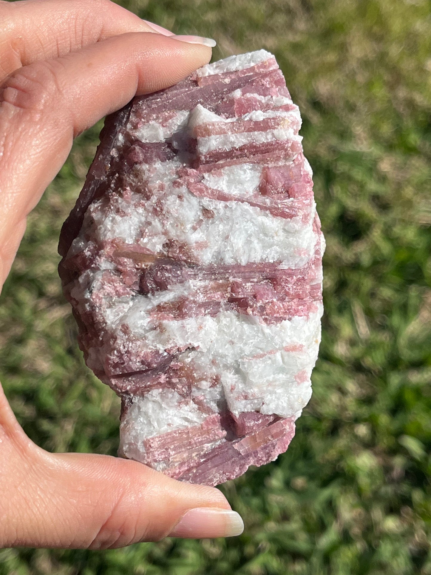 Pink Tourmaline Specimen