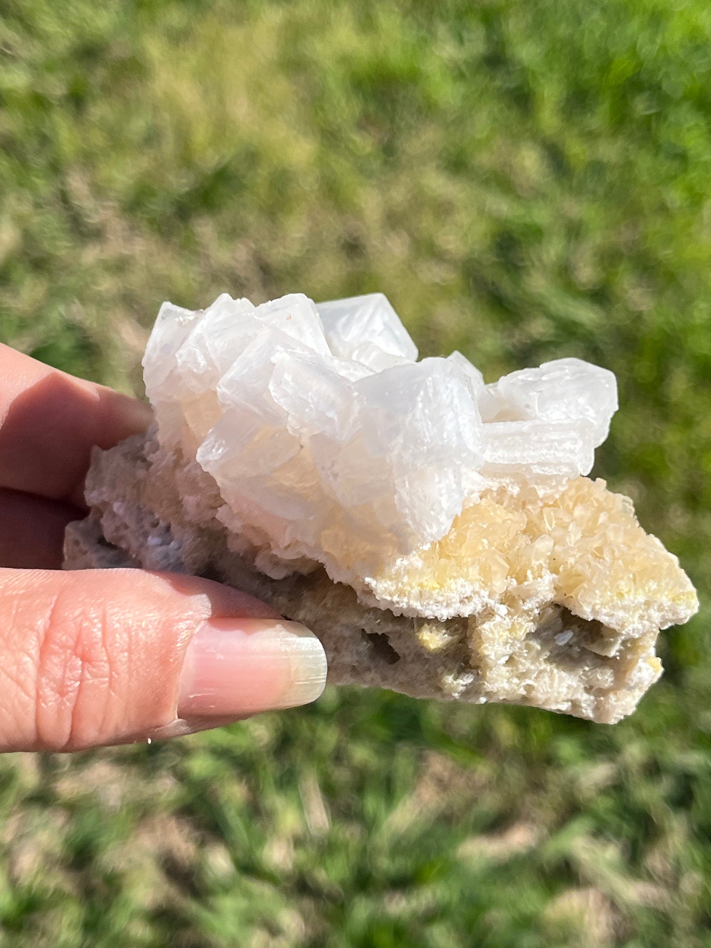 Pink Halite Cluster