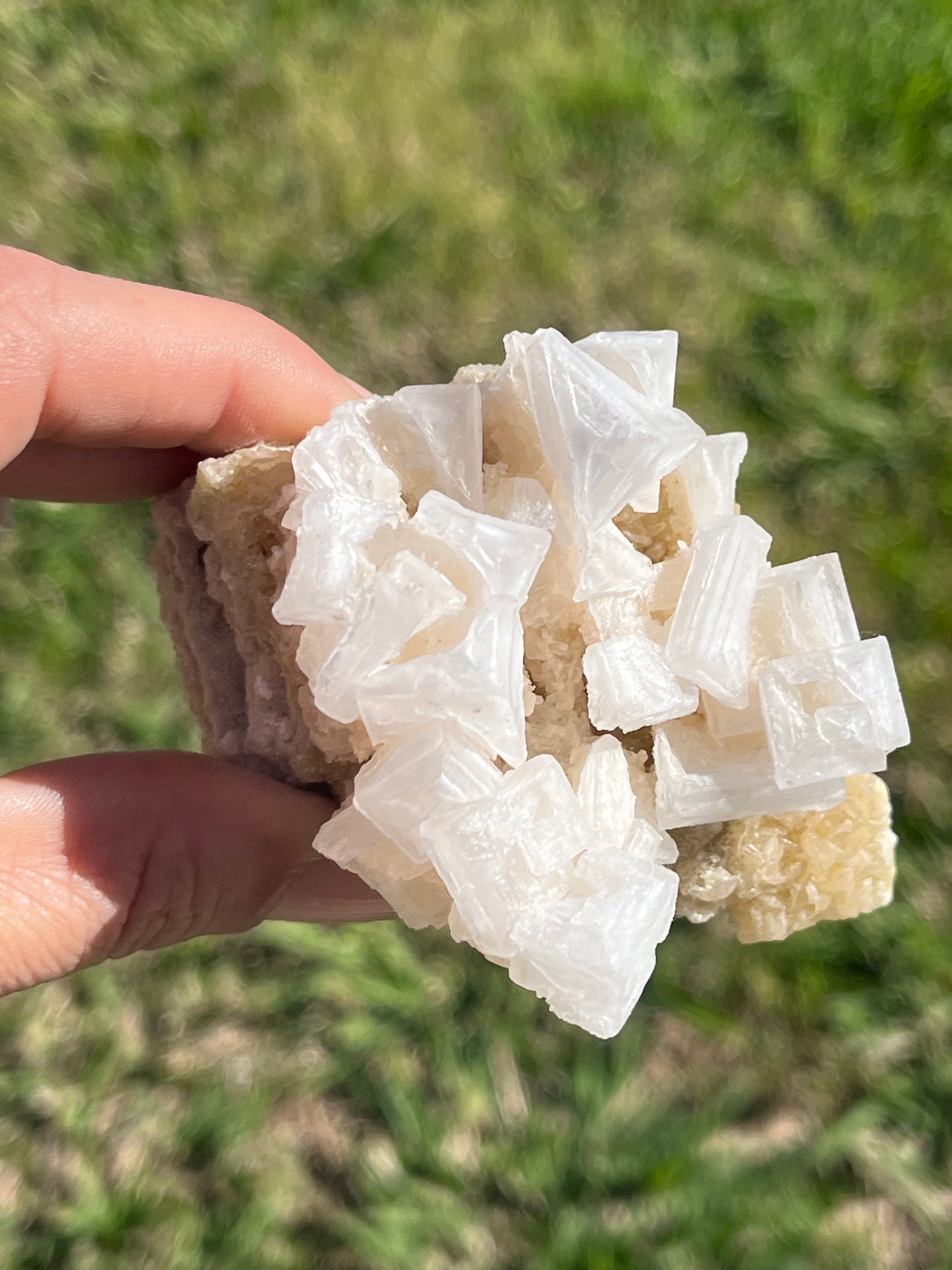 Pink Halite Cluster