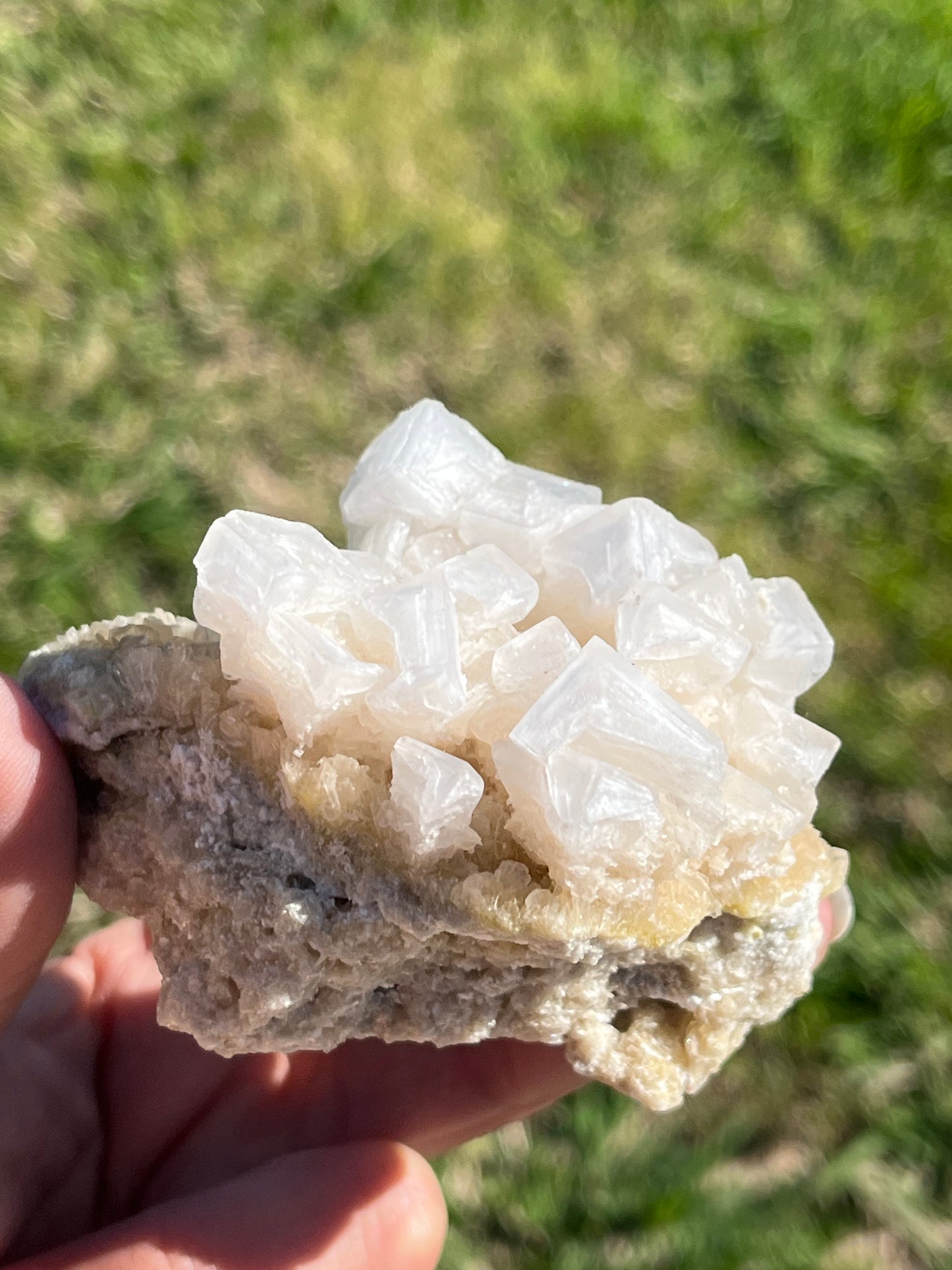 Pink Halite Cluster