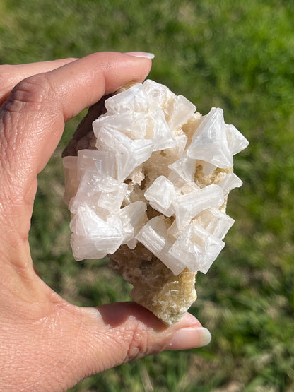 Pink Halite Cluster