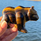 Tiger’s Eye Bear