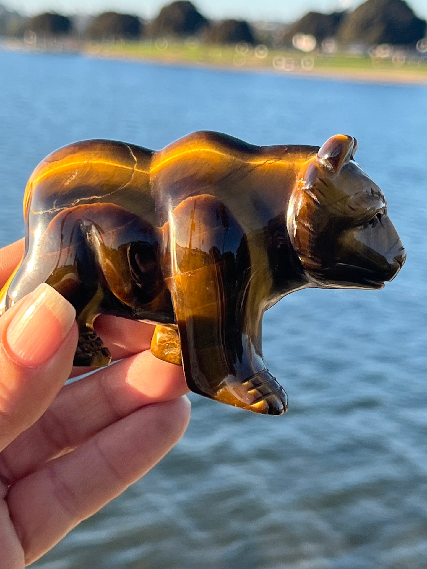 Tiger’s Eye Bear