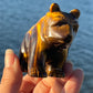 Tiger’s Eye Bear