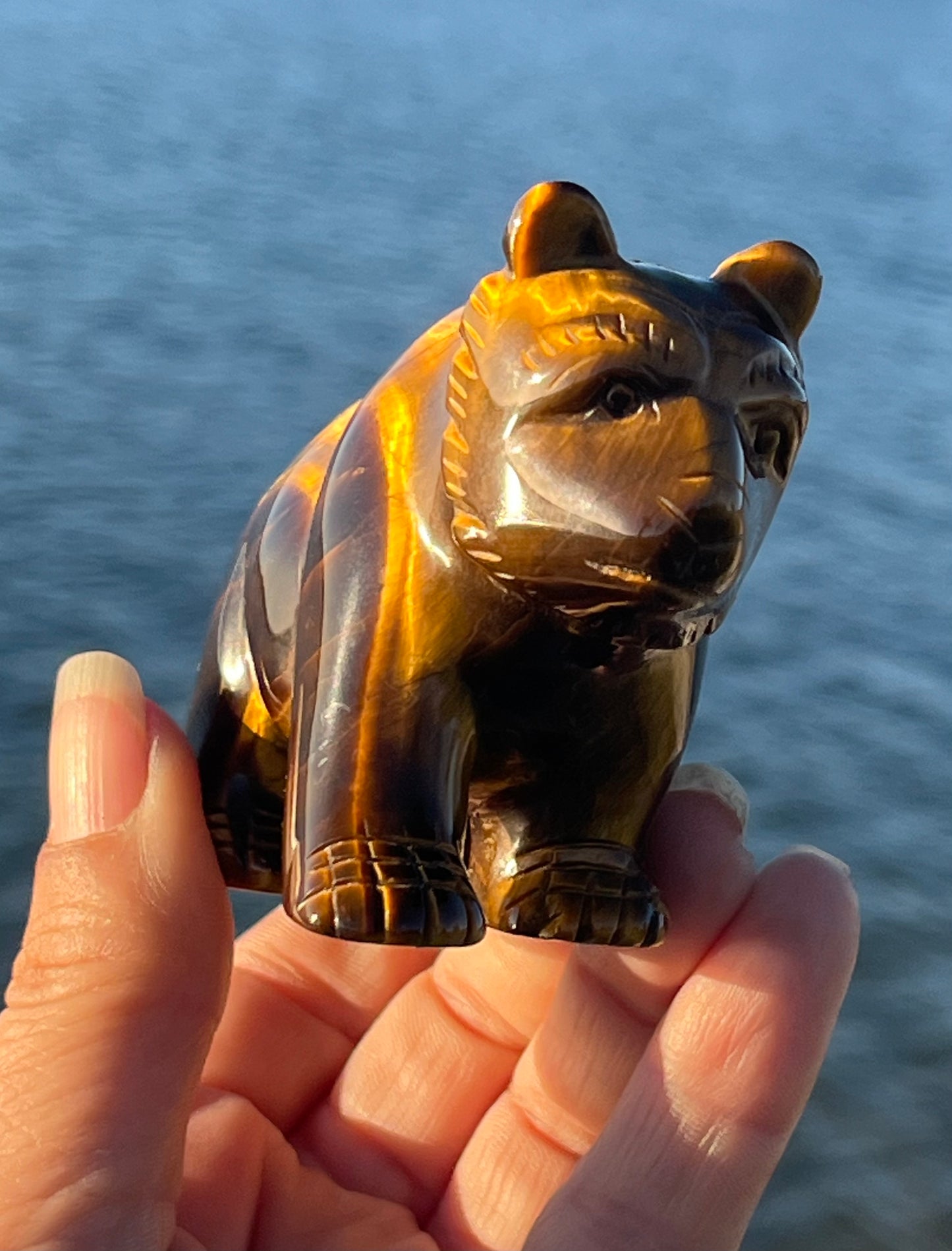 Tiger’s Eye Bear