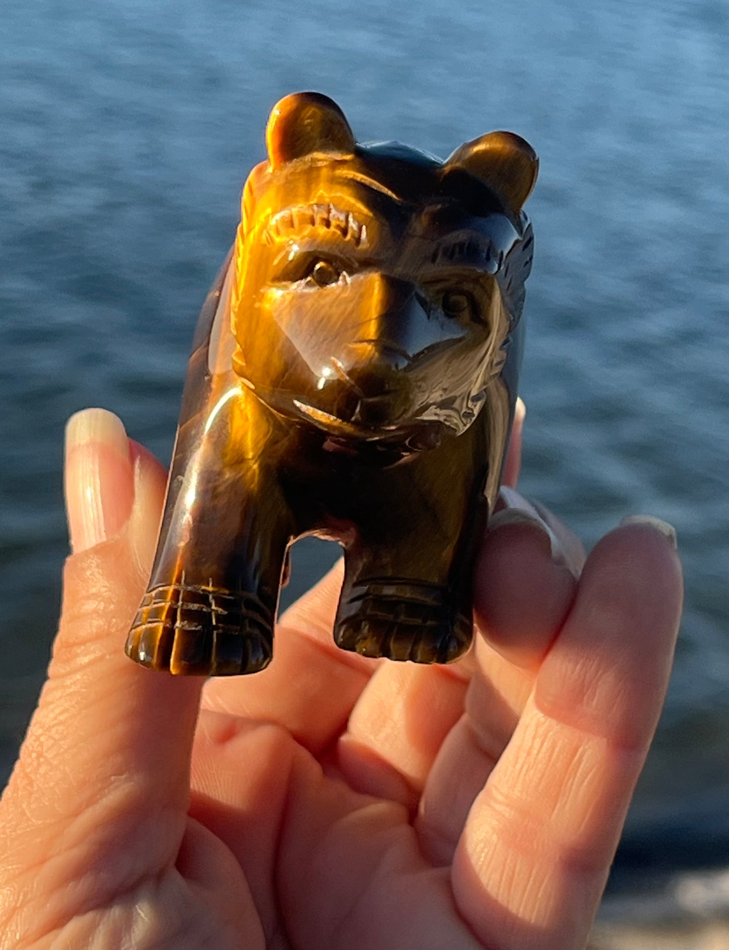 Tiger’s Eye Bear