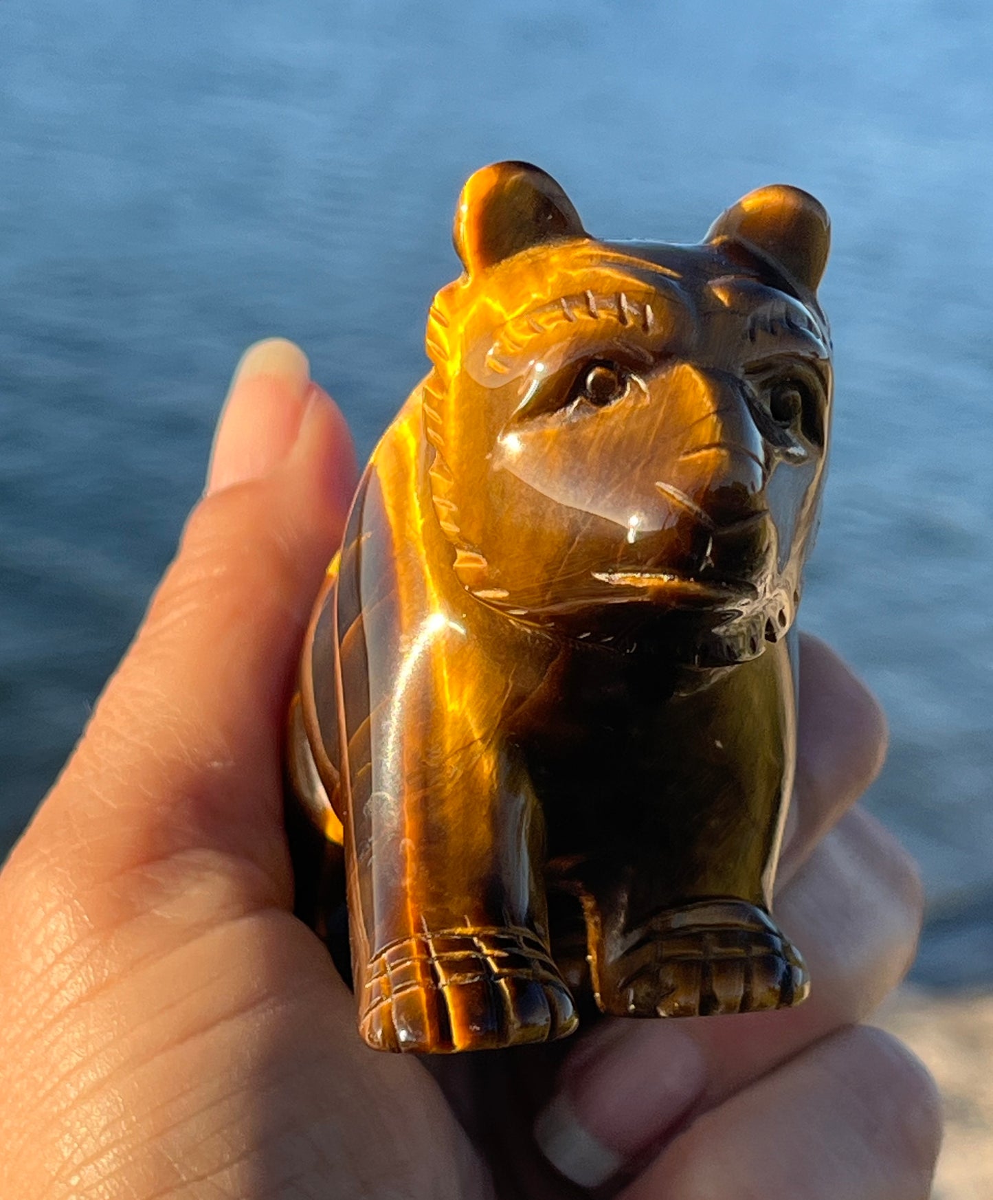 Tiger’s Eye Bear