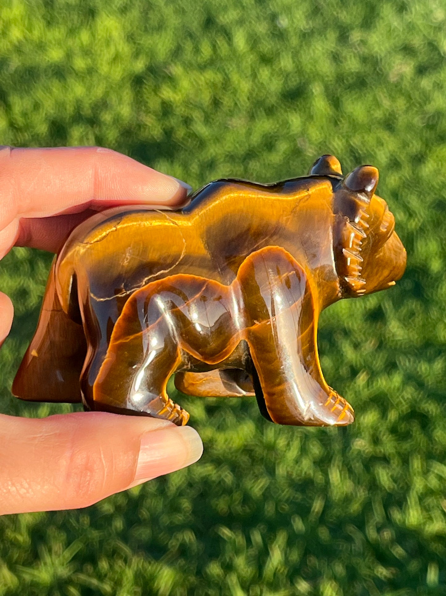 Tiger’s Eye Bear