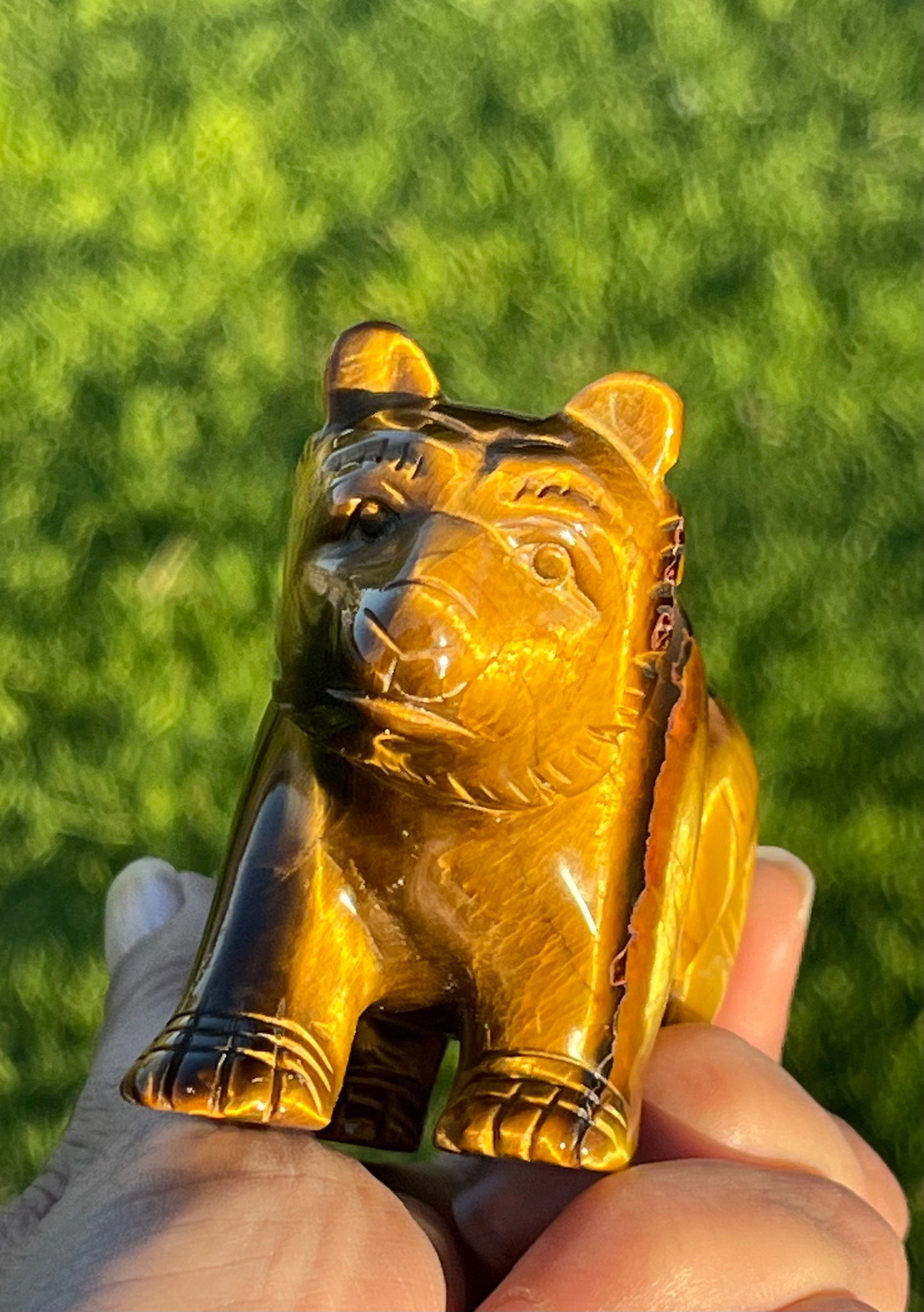 Tiger’s Eye Bear