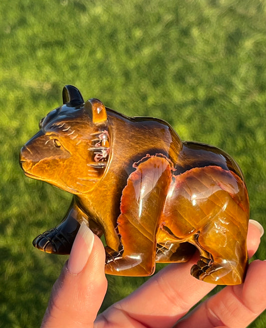 Tiger’s Eye Bear