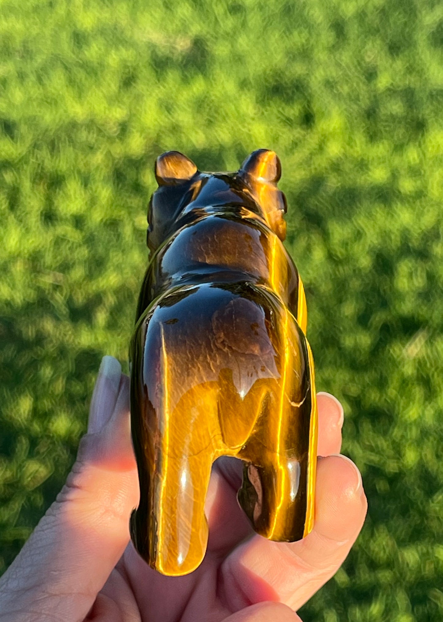 Tiger’s Eye Bear