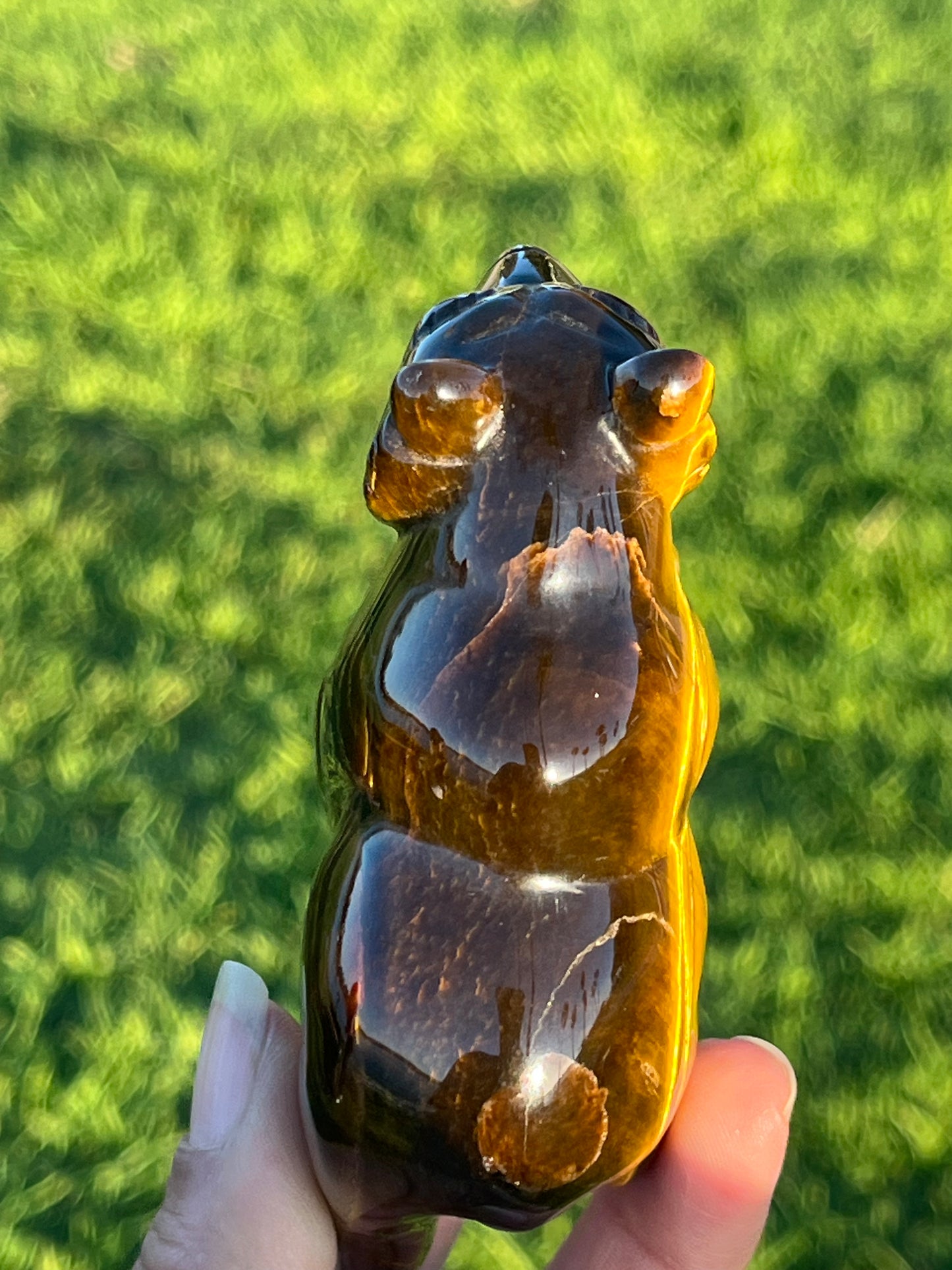 Tiger’s Eye Bear