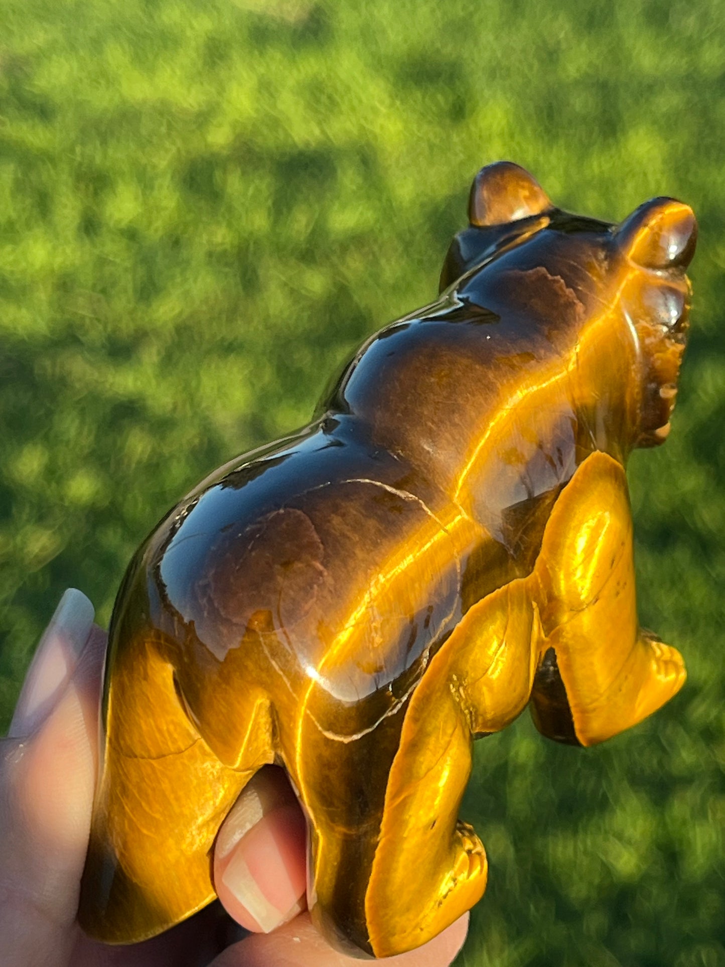 Tiger’s Eye Bear