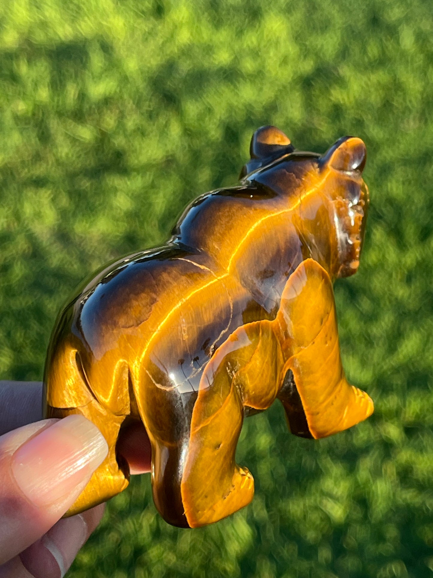 Tiger’s Eye Bear