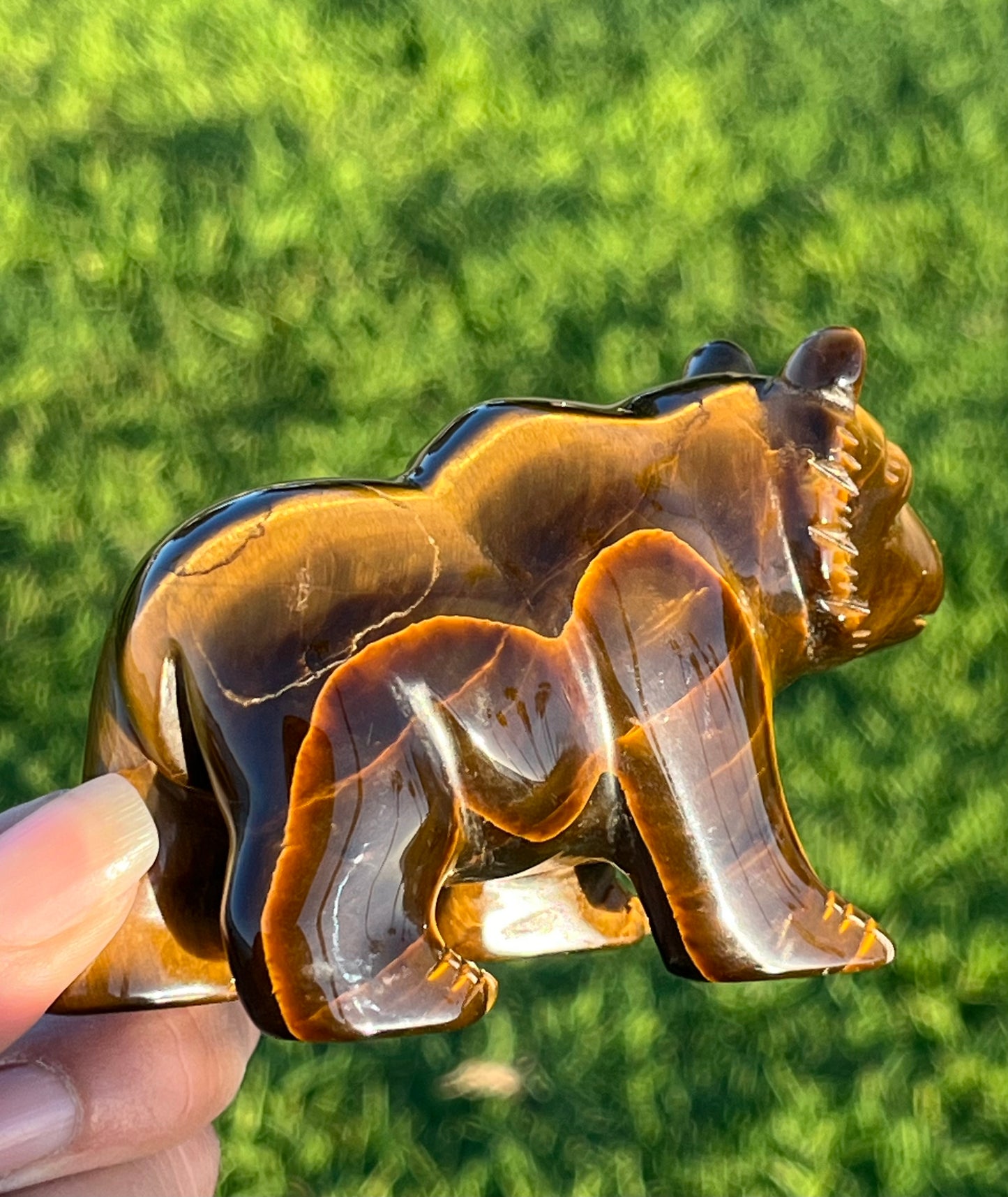 Tiger’s Eye Bear