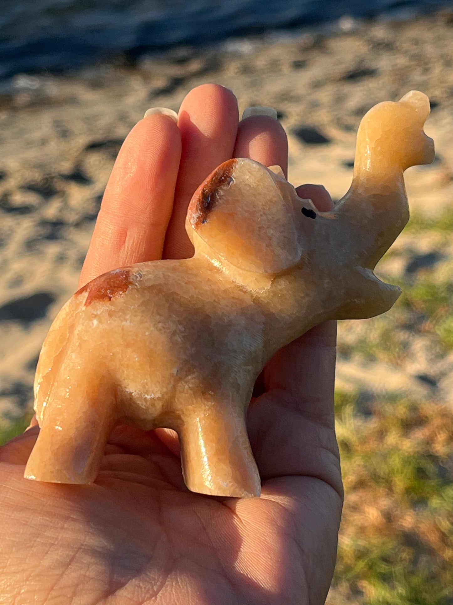 Calcite Elephants