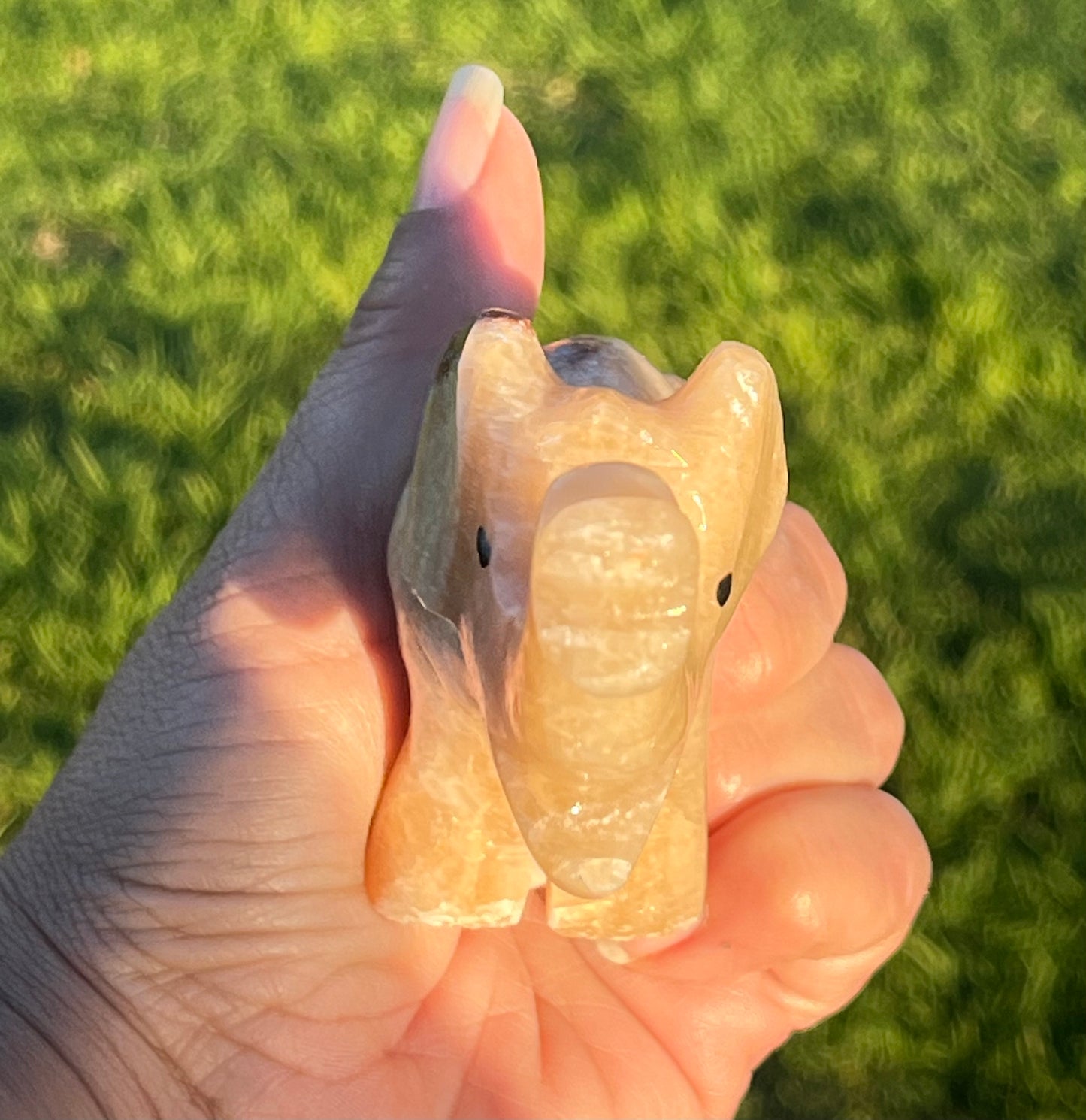 Calcite Elephants